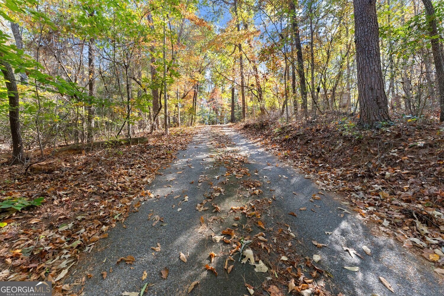 126 Clay Creek Lane Dahlonega - Photo 29