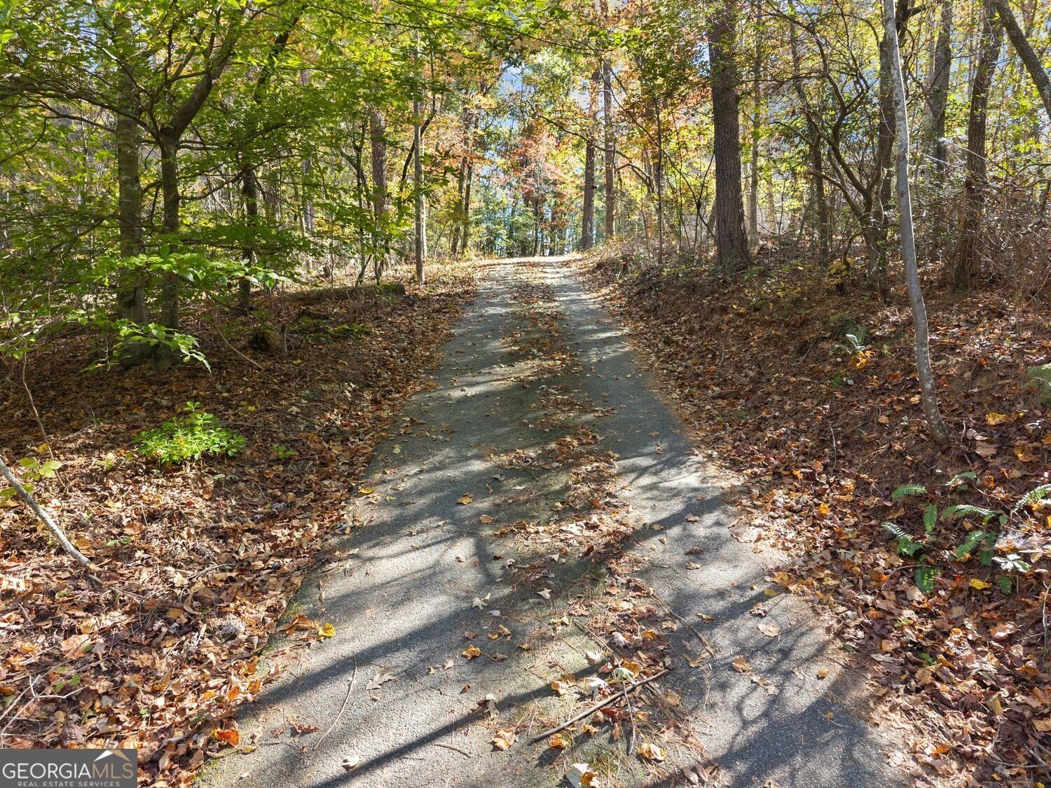 126 Clay Creek Lane Dahlonega - Photo 30
