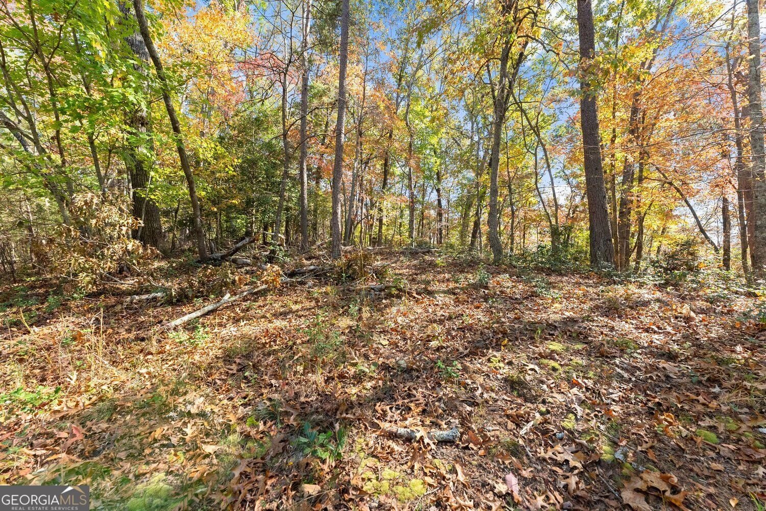 126 Clay Creek Lane Dahlonega - Photo 31