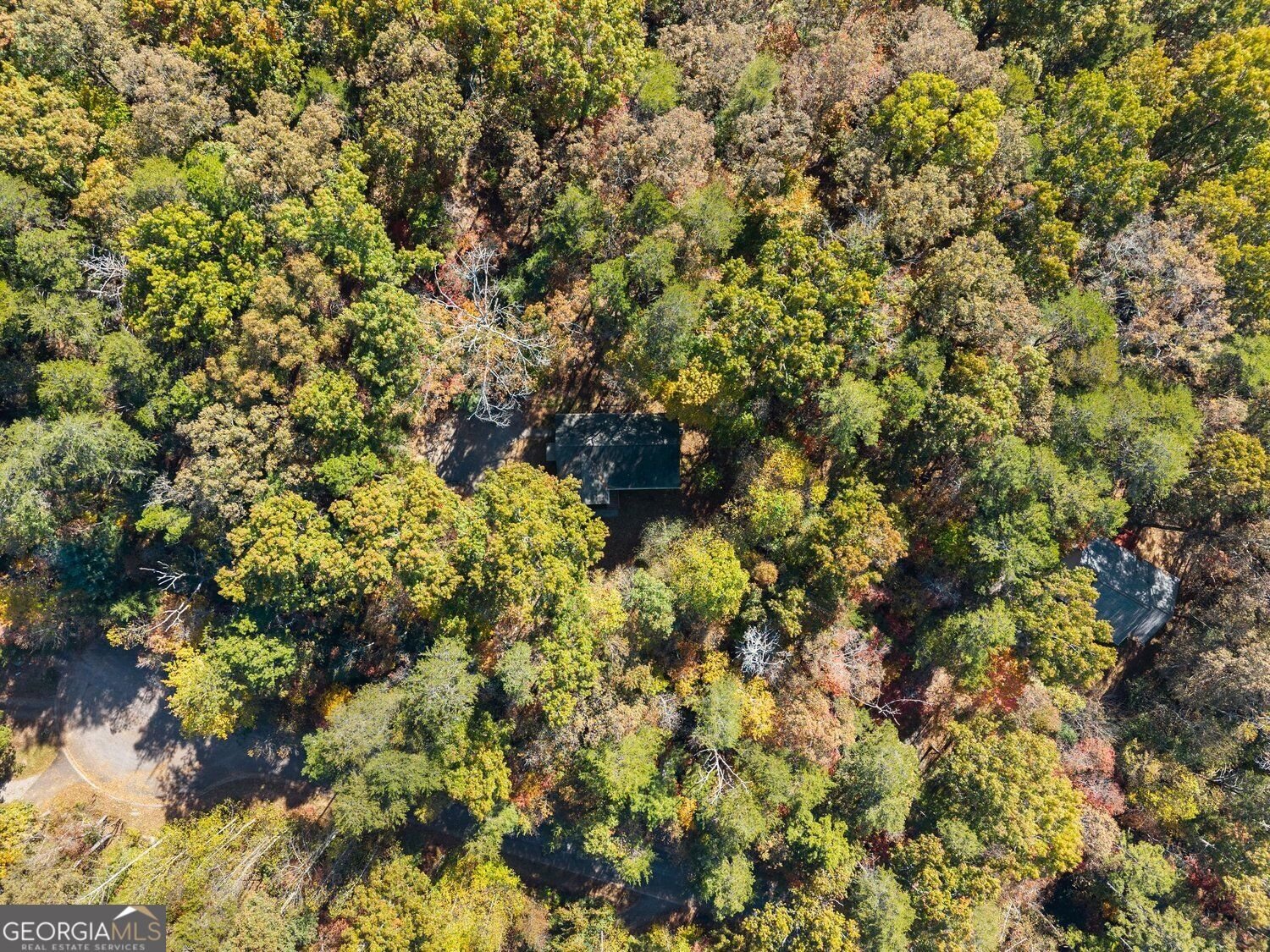 126 Clay Creek Lane Dahlonega - Photo 32