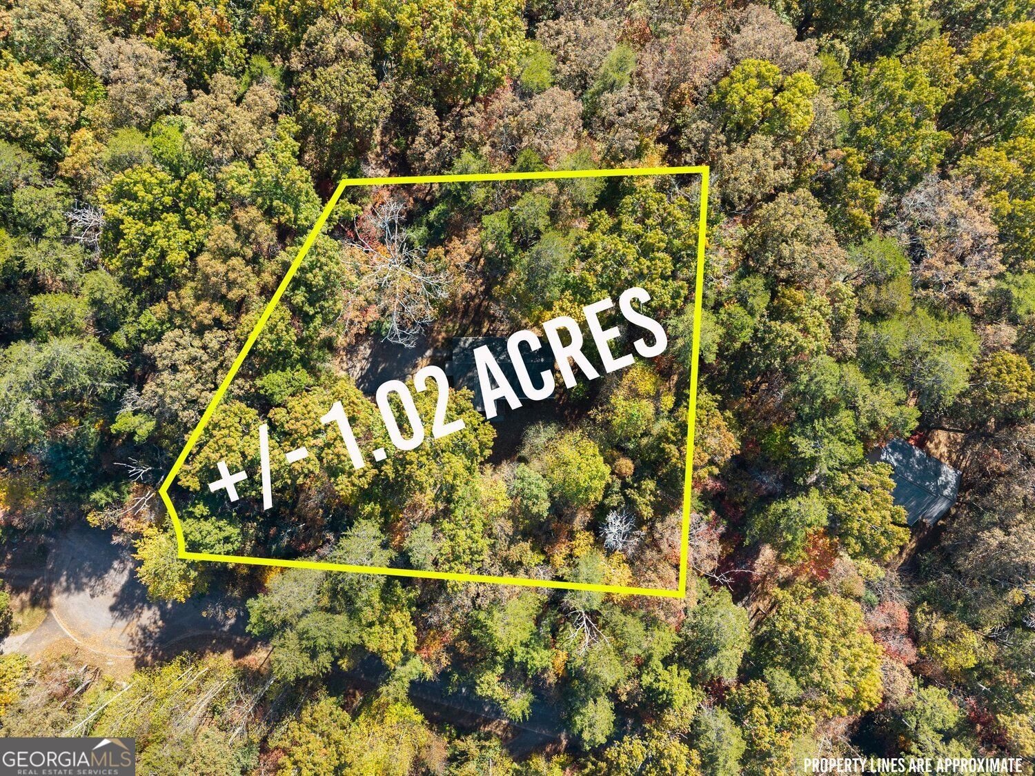 126 Clay Creek Lane Dahlonega - Photo 39