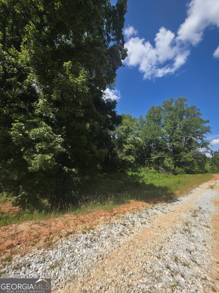 74 Charlotte Circle Statham - Photo 16