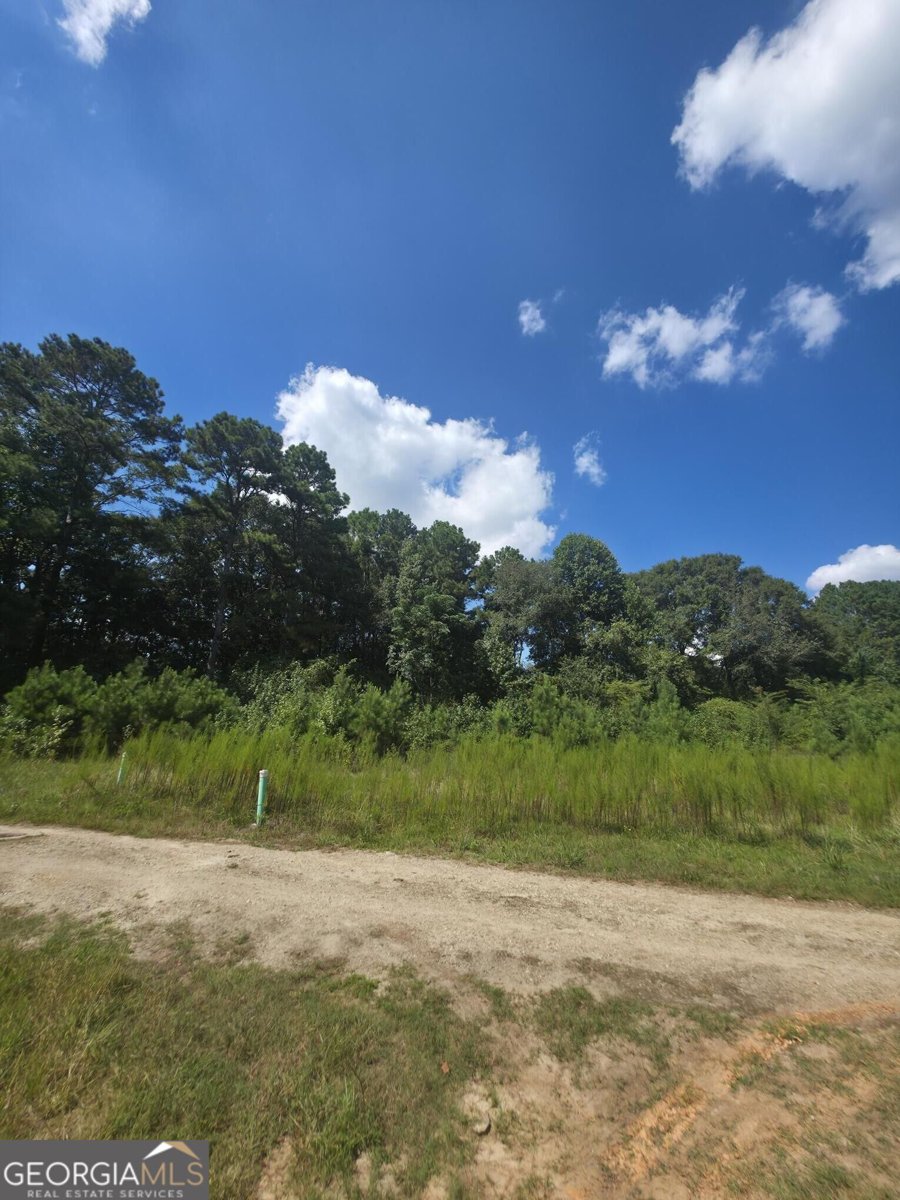 74 Charlotte Circle Statham - Photo 18