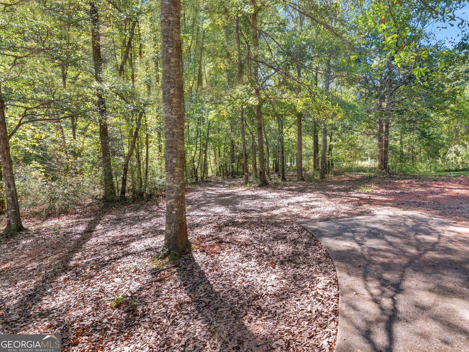 183 Chappell Mill Road Griffin - Photo 19