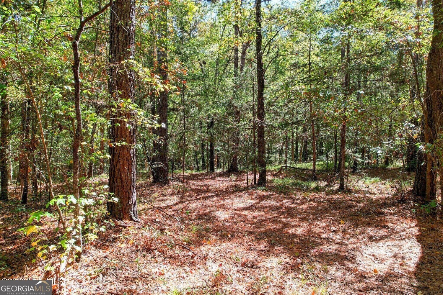 2583 Scotts Ferry Road Appling - Photo 47