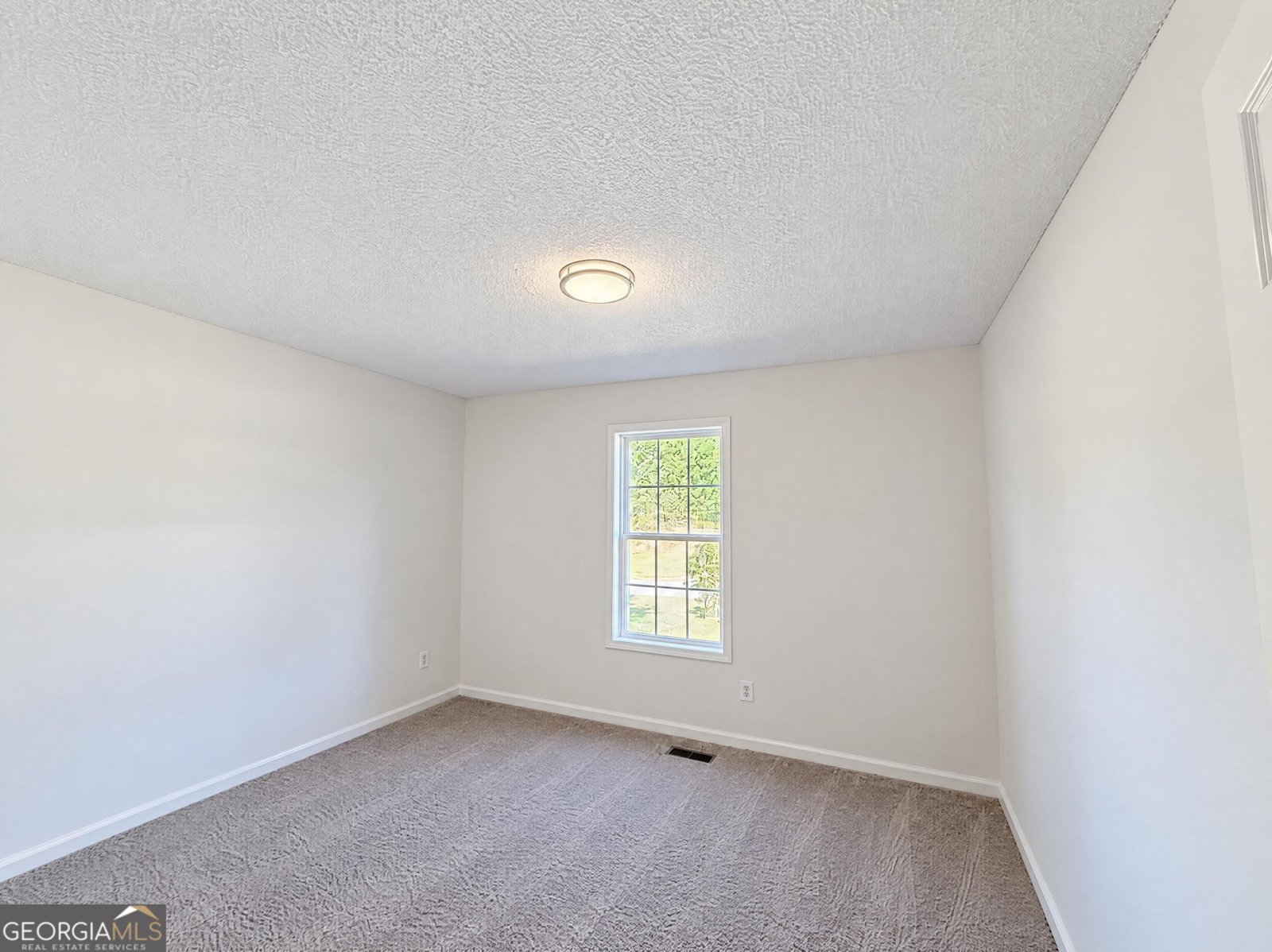 60 Corn Crib Court Newnan - Photo 19