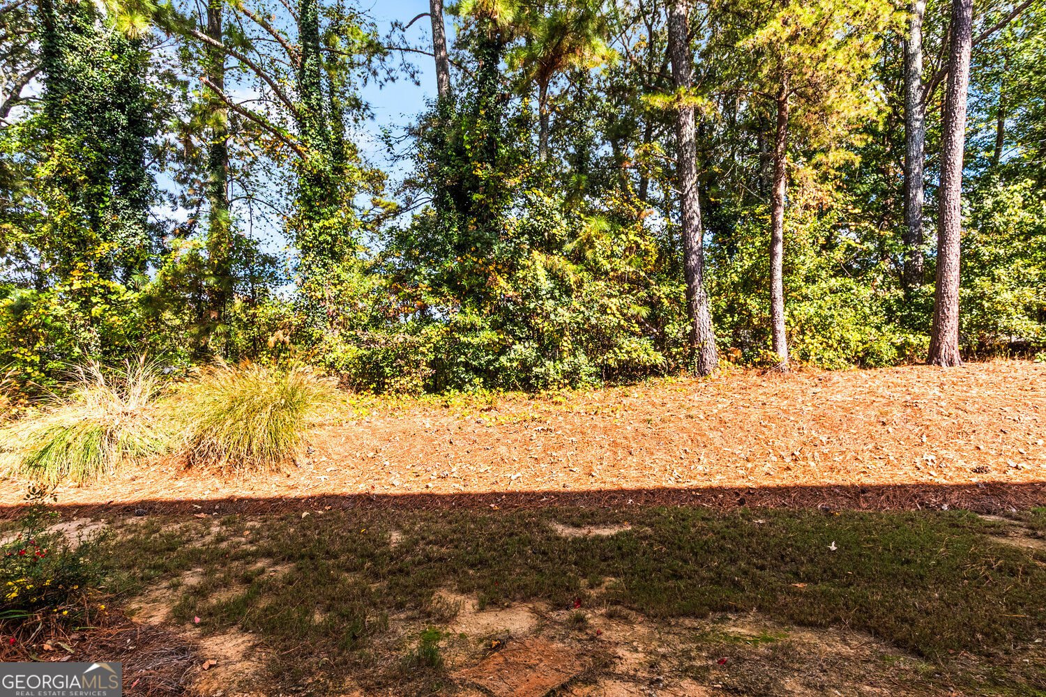 2628 Sardis Chase Court Buford - Photo 26