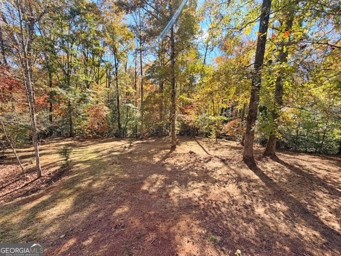 198 Abb Helton Road Cleveland - Photo 37