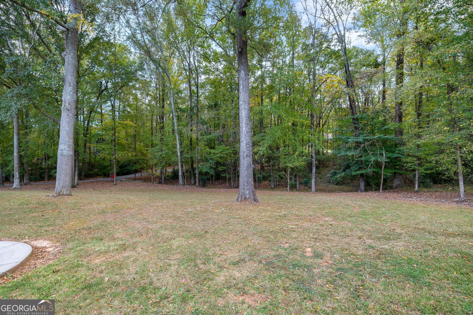 337 Elder Drive Jefferson - Photo 50