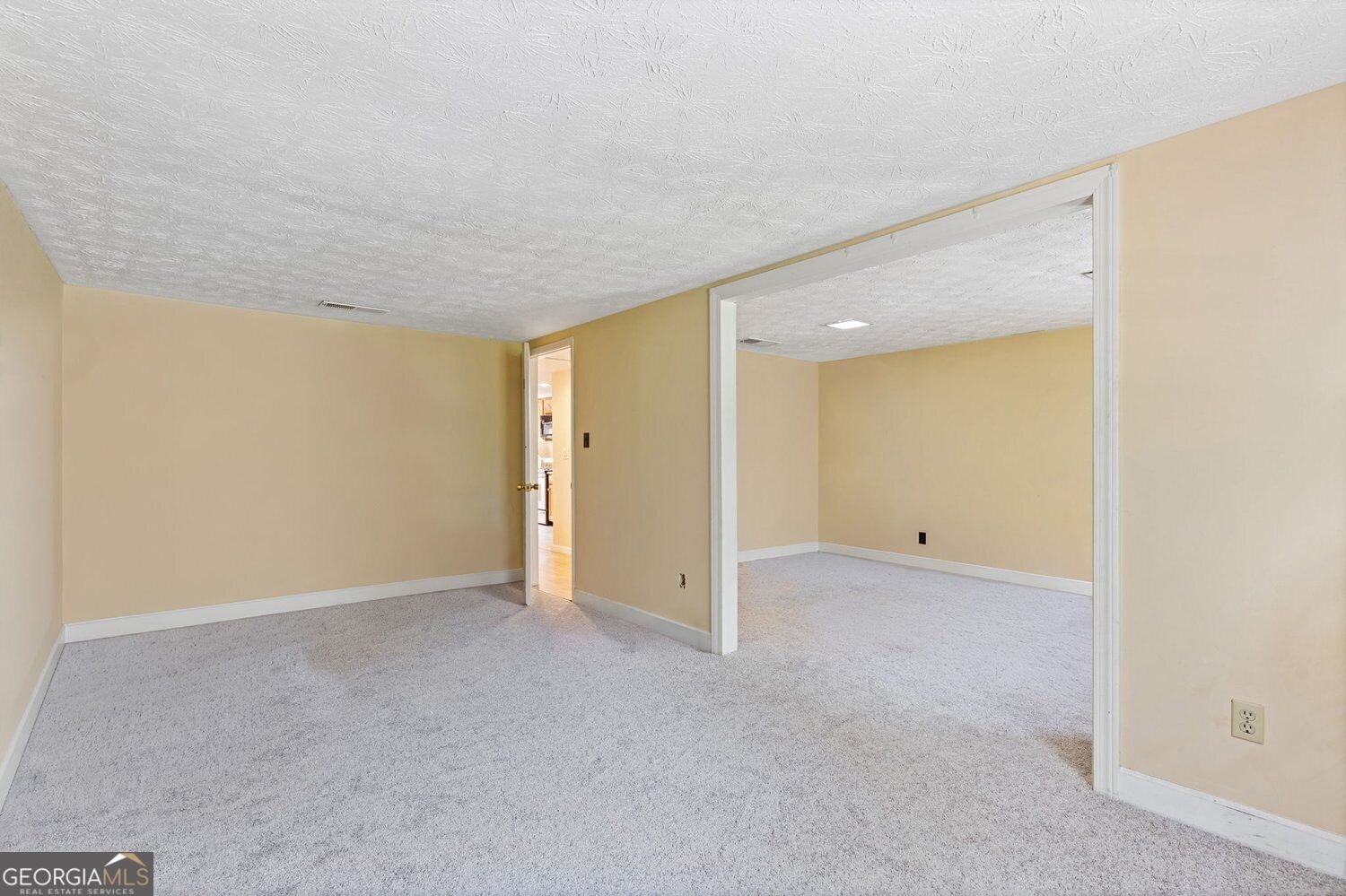 335 Level Creek Road Sugar Hill - Photo 61
