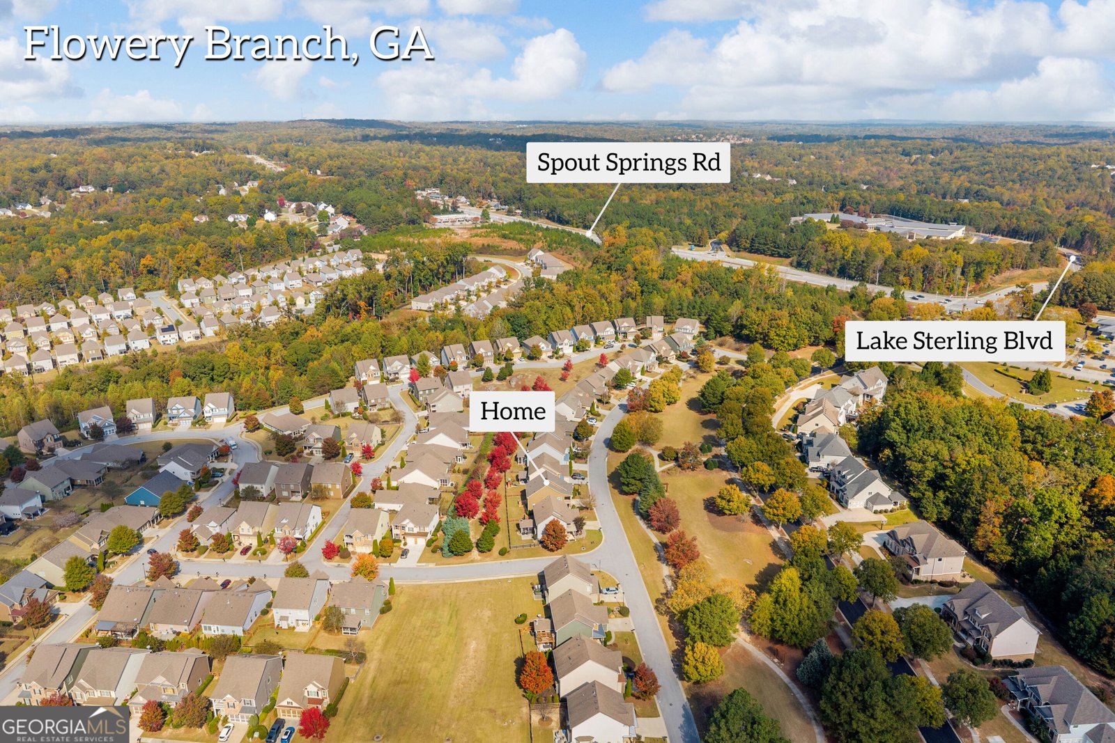 6852 Golden Bud Lane Flowery Branch - Photo 52