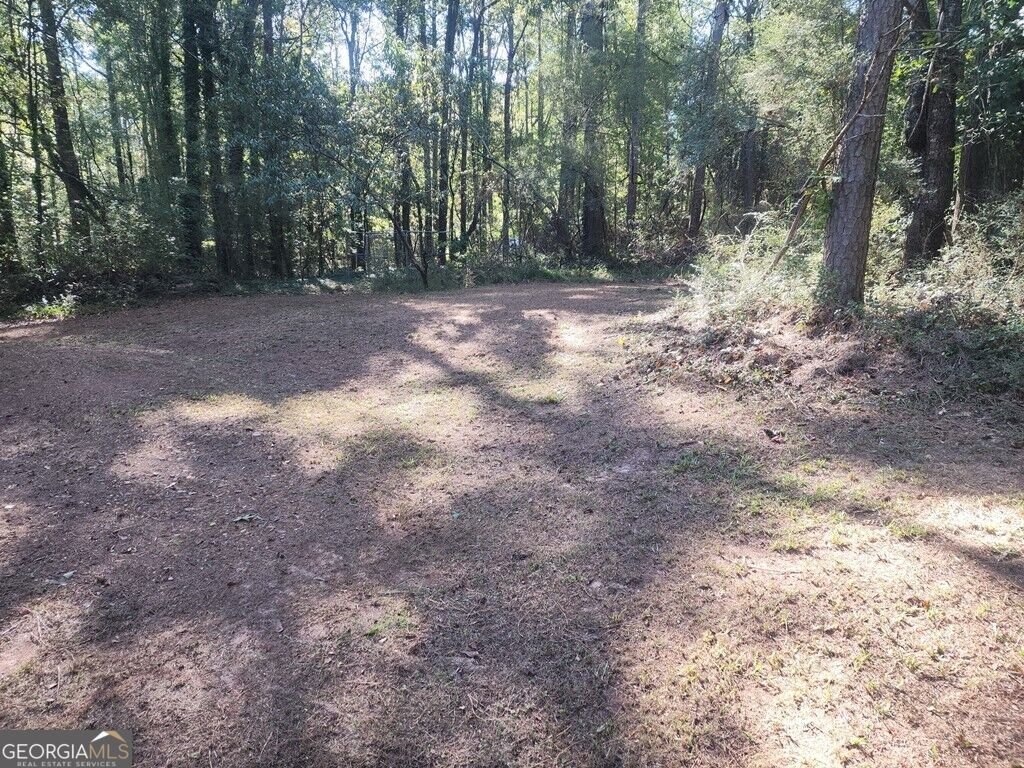 108 Ridgeway Point Ellenwood - Photo 23