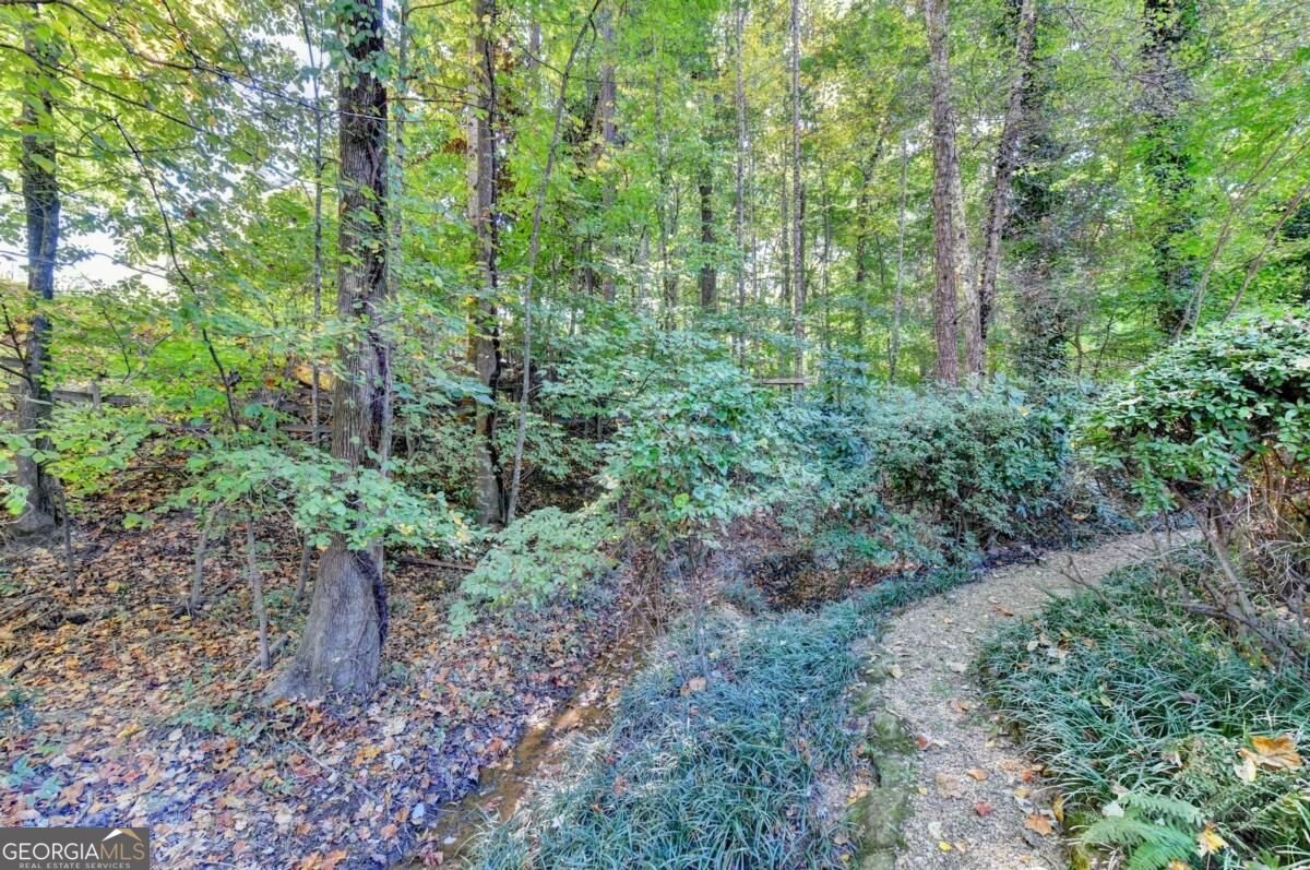 9921 Carrington Lane Johns Creek - Photo 49