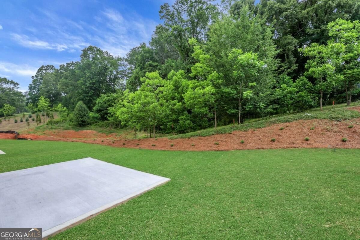 186 Trace Bluff Dawsonville - Photo 47