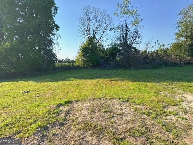 2363 Alvin Joiner Road Dublin - Photo 27