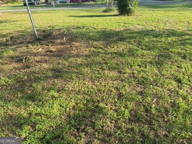 2363 Alvin Joiner Road Dublin - Photo 29