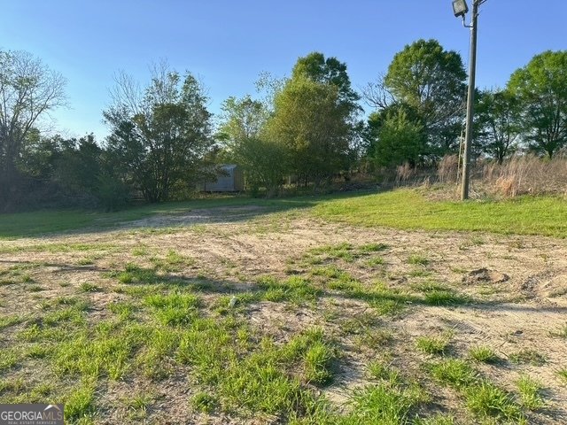 2363 Alvin Joiner Road Dublin - Photo 37