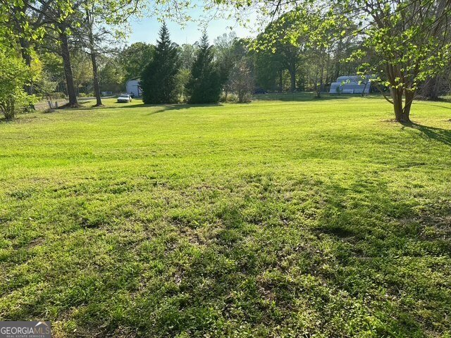 2363 Alvin Joiner Road Dublin - Photo 48