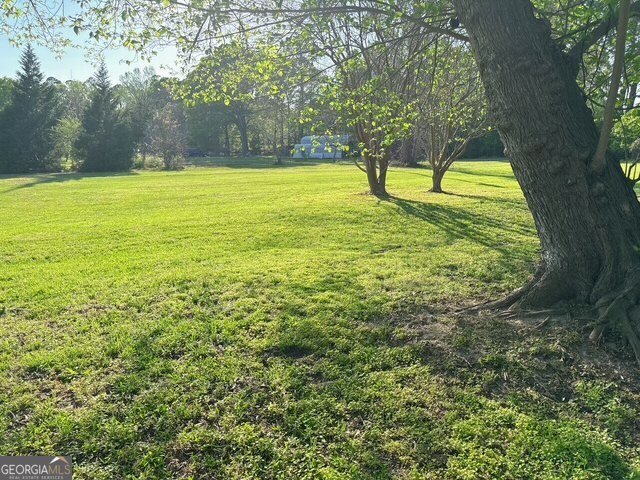2363 Alvin Joiner Road Dublin - Photo 49