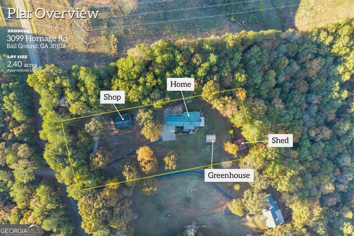 3099 Hornage Road Ball Ground - Photo 77