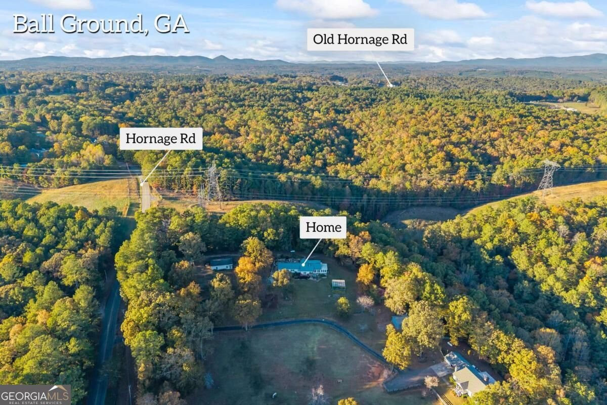 3099 Hornage Road Ball Ground - Photo 78
