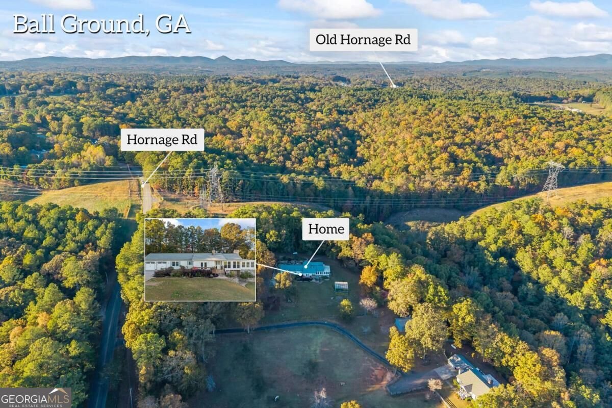 3099 Hornage Road Ball Ground - Photo 79