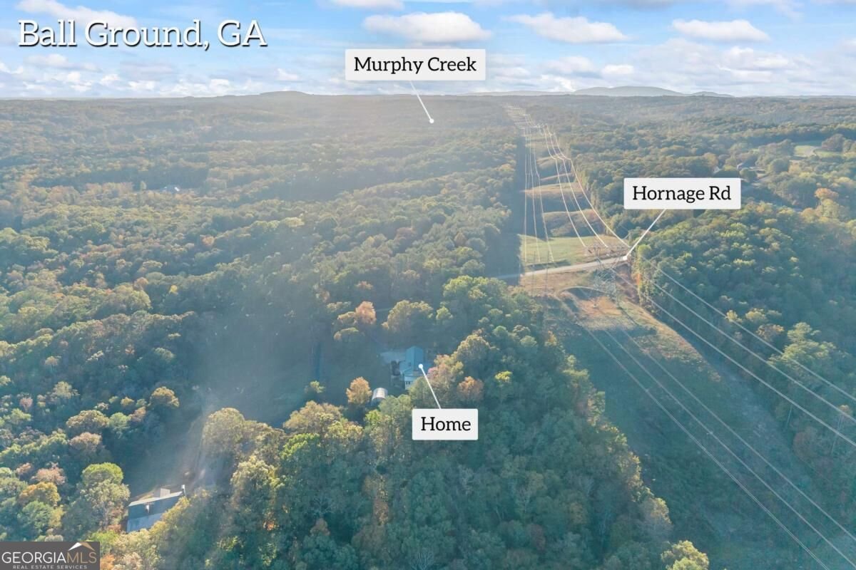 3099 Hornage Road Ball Ground - Photo 80