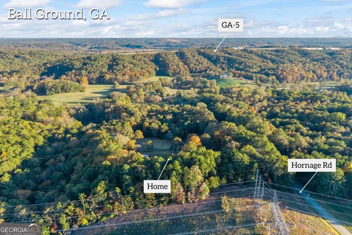 3099 Hornage Road Ball Ground - Photo 81