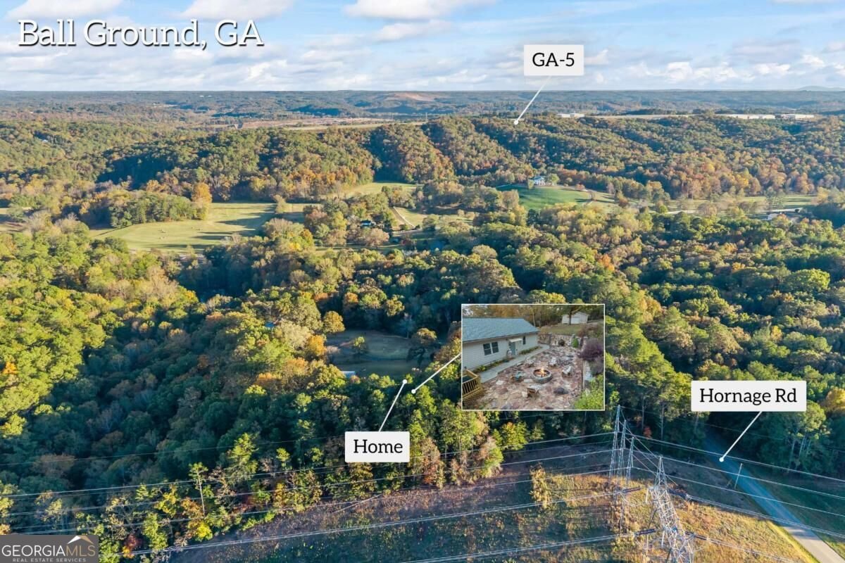 3099 Hornage Road Ball Ground - Photo 82