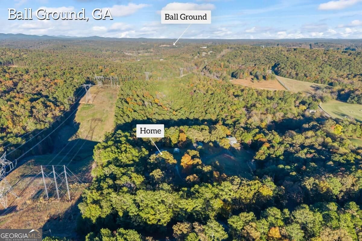 3099 Hornage Road Ball Ground - Photo 83