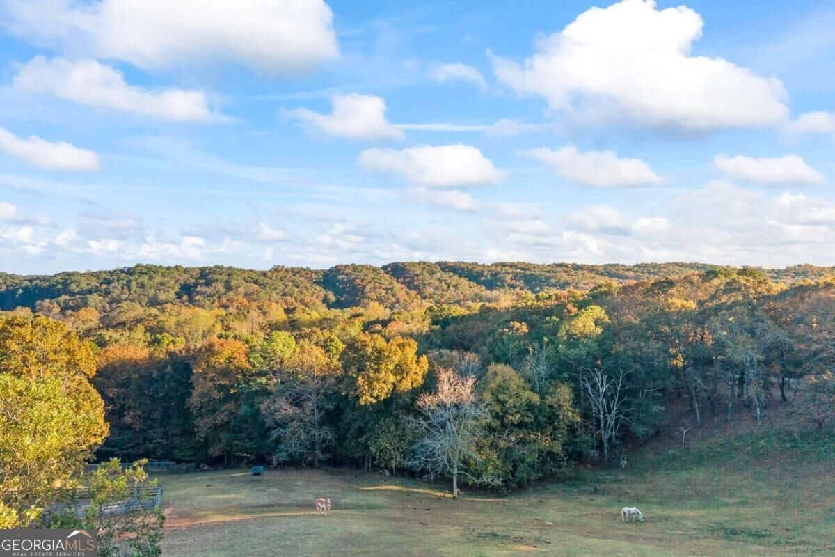 3099 Hornage Road Ball Ground - Photo 9