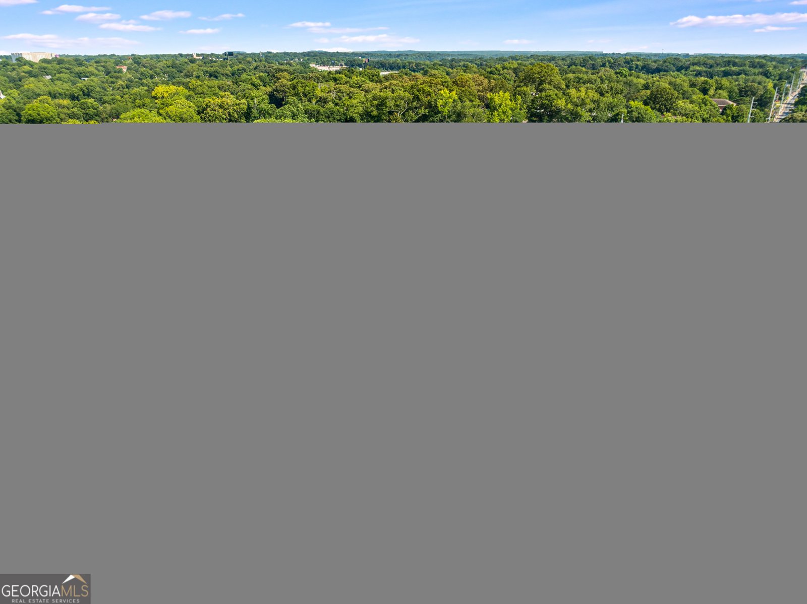 916 Metropolitan Parkway Atlanta - 49