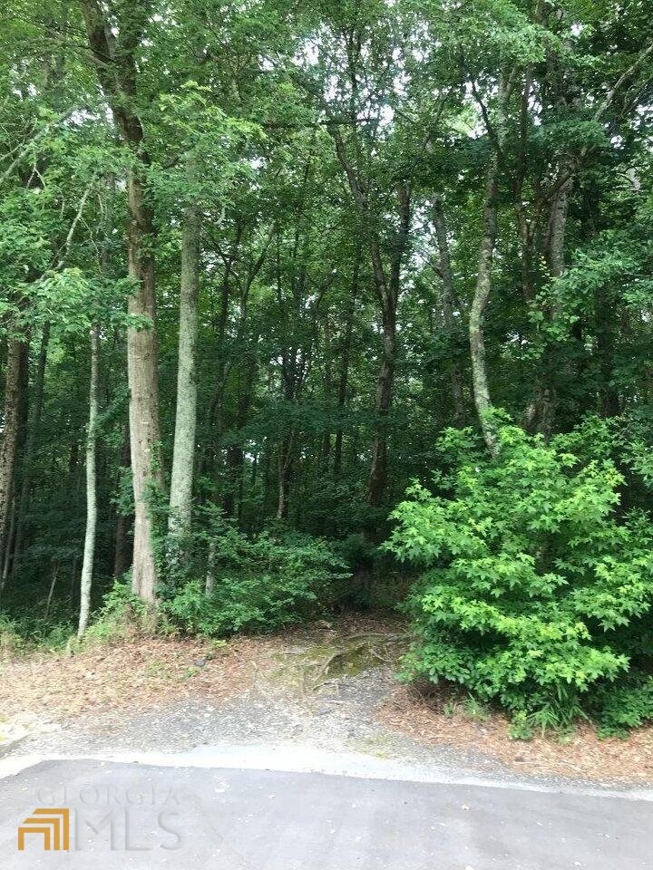 1940 Lee Road Lithia Springs - 2