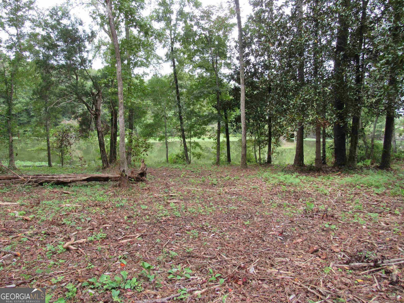 109 Barfoot Bayou Lane Eufaula - 9
