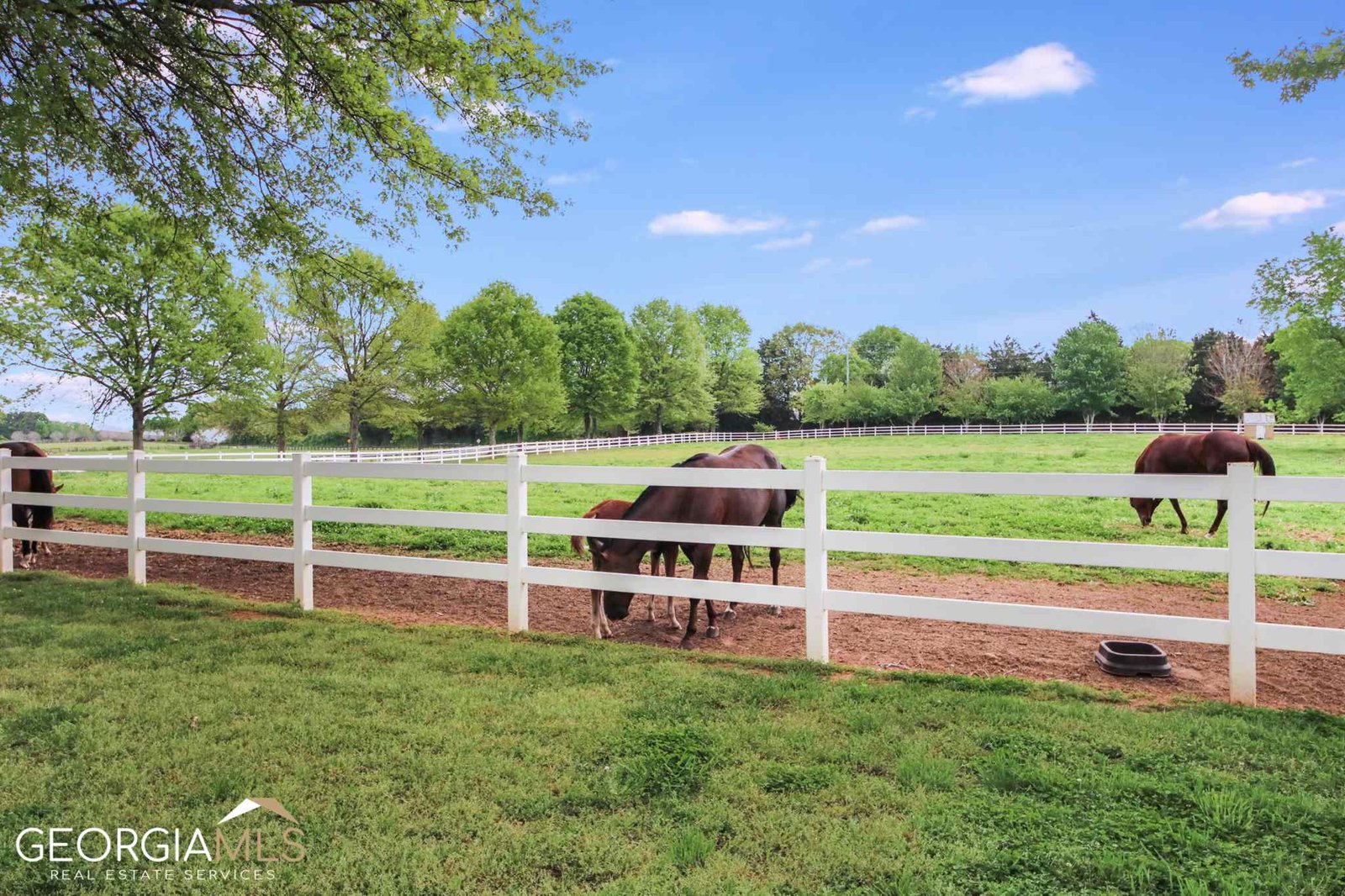460 Dixie Road Covington - 65