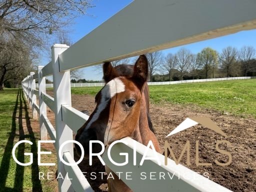 460 Dixie Road Covington - 74