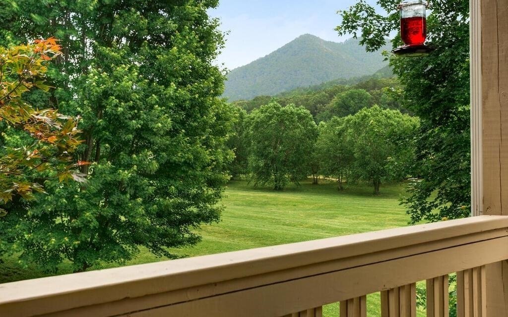 115 Country Club View Hayesville - 3