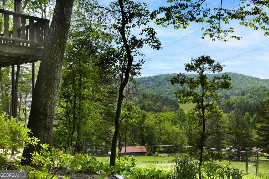 225 Richards Cove Drive Hayesville - 6