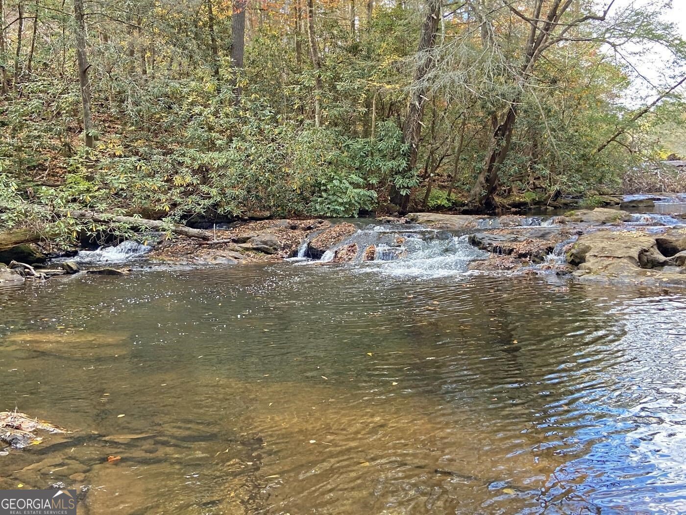 169 Dunns Road Dahlonega - 110