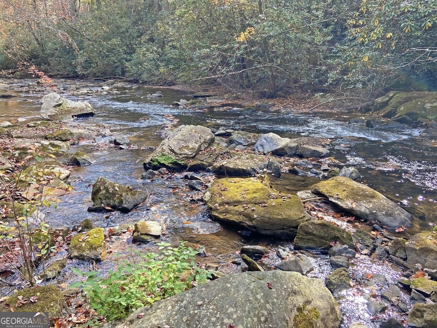 169 Dunns Road Dahlonega - 112