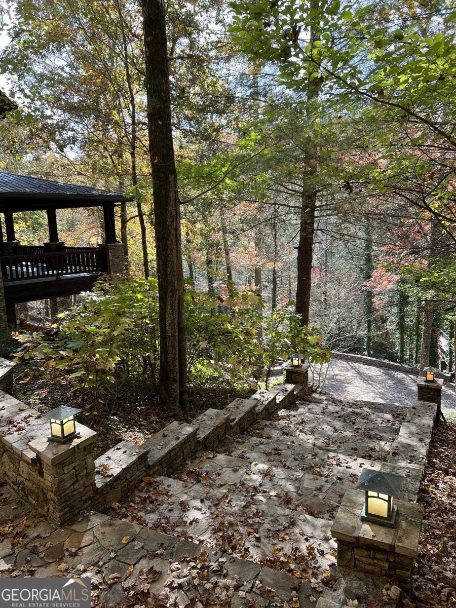 169 Dunns Road Dahlonega - 69