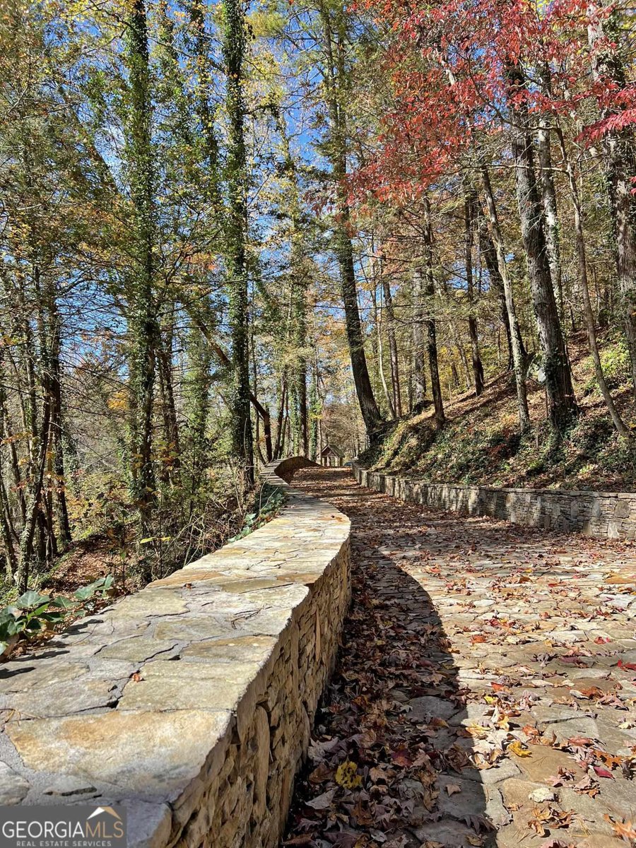 169 Dunns Road Dahlonega - 71