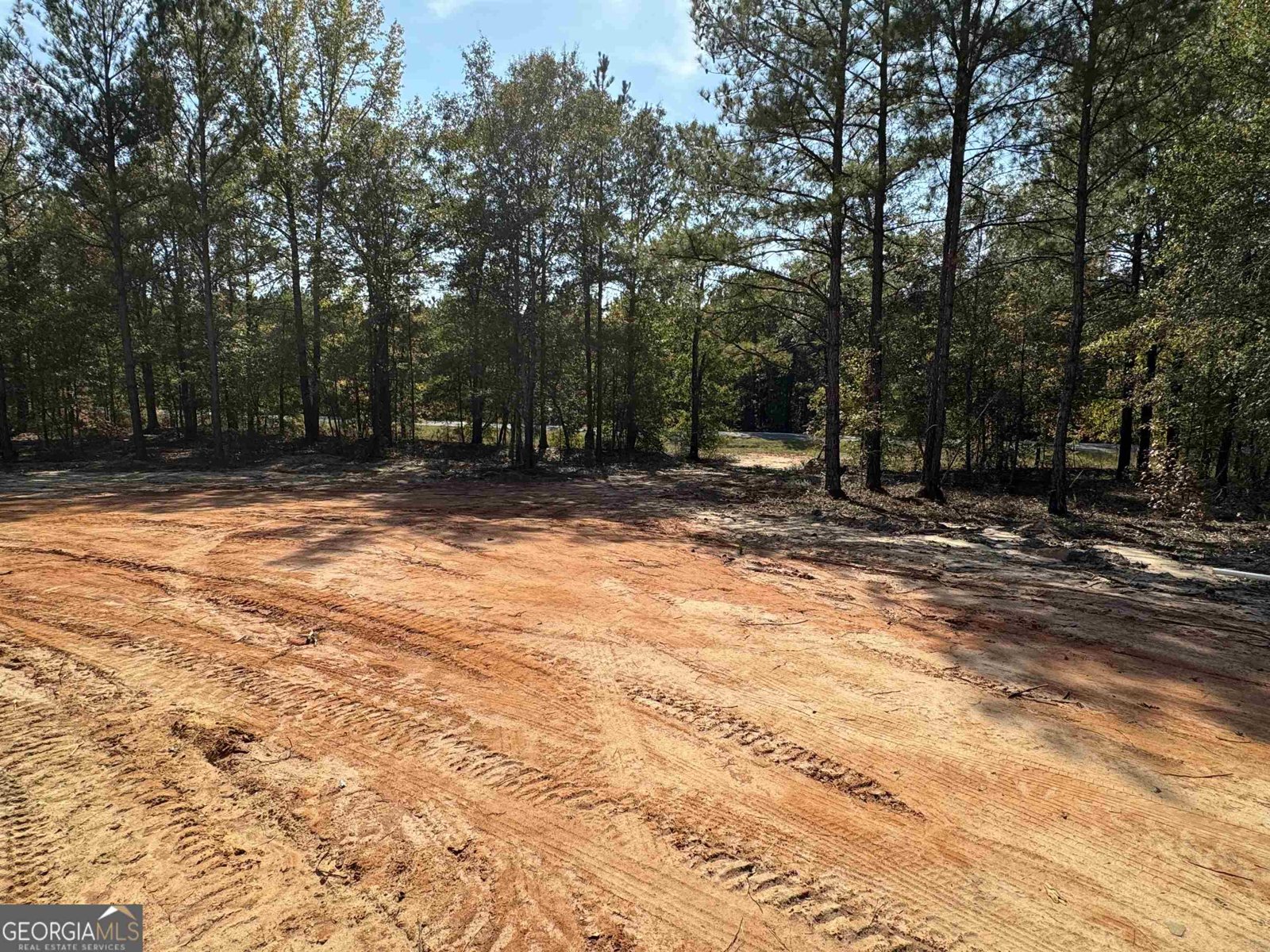 820 Rentz Dexter Road Rentz - 9