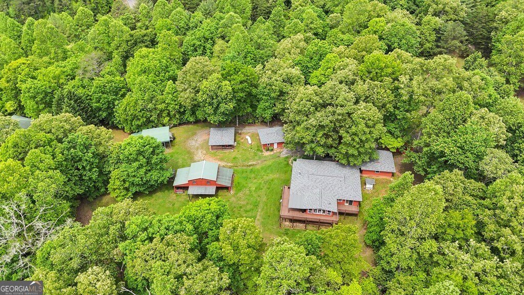 805 Quail Cove Circle Warne - 3
