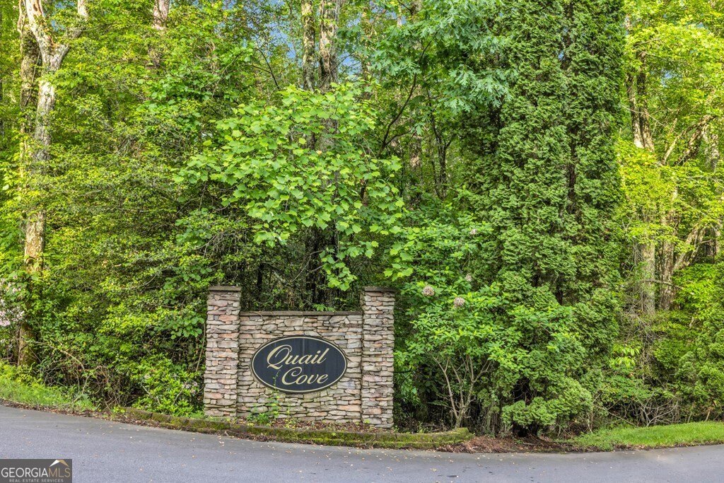 805 Quail Cove Circle Warne - 52