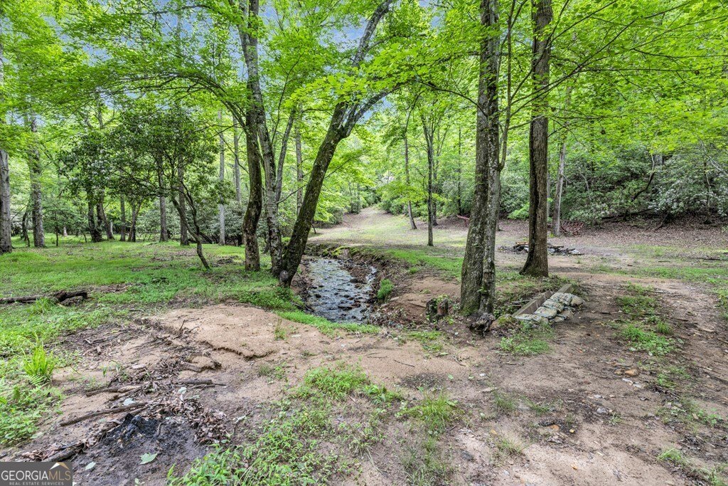 805 Quail Cove Circle Warne - 92
