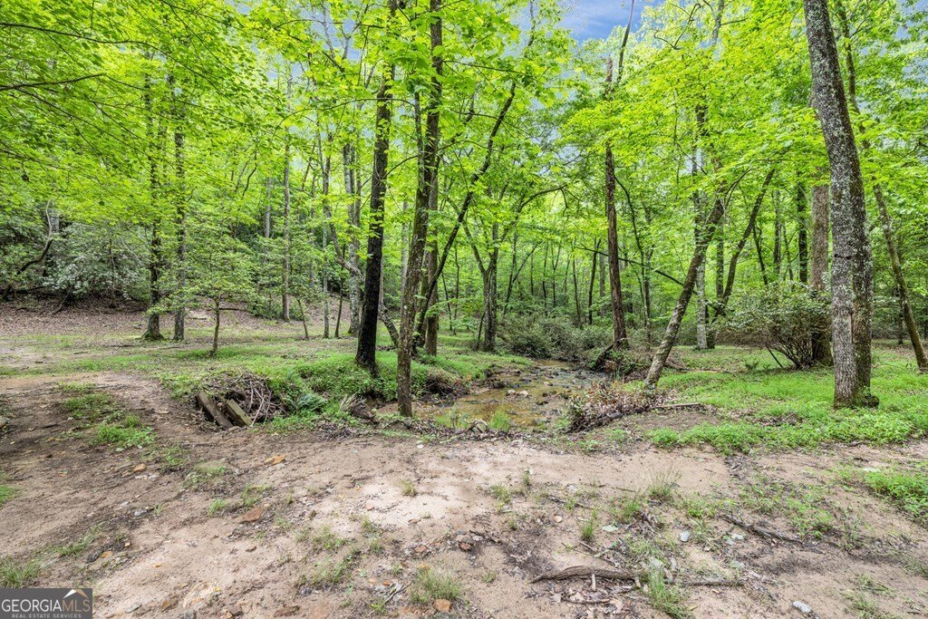 805 Quail Cove Circle Warne - 93