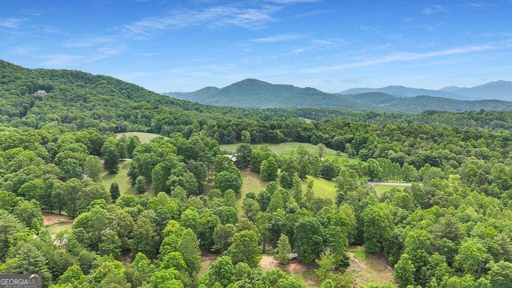 805 Quail Cove Circle Warne - 95