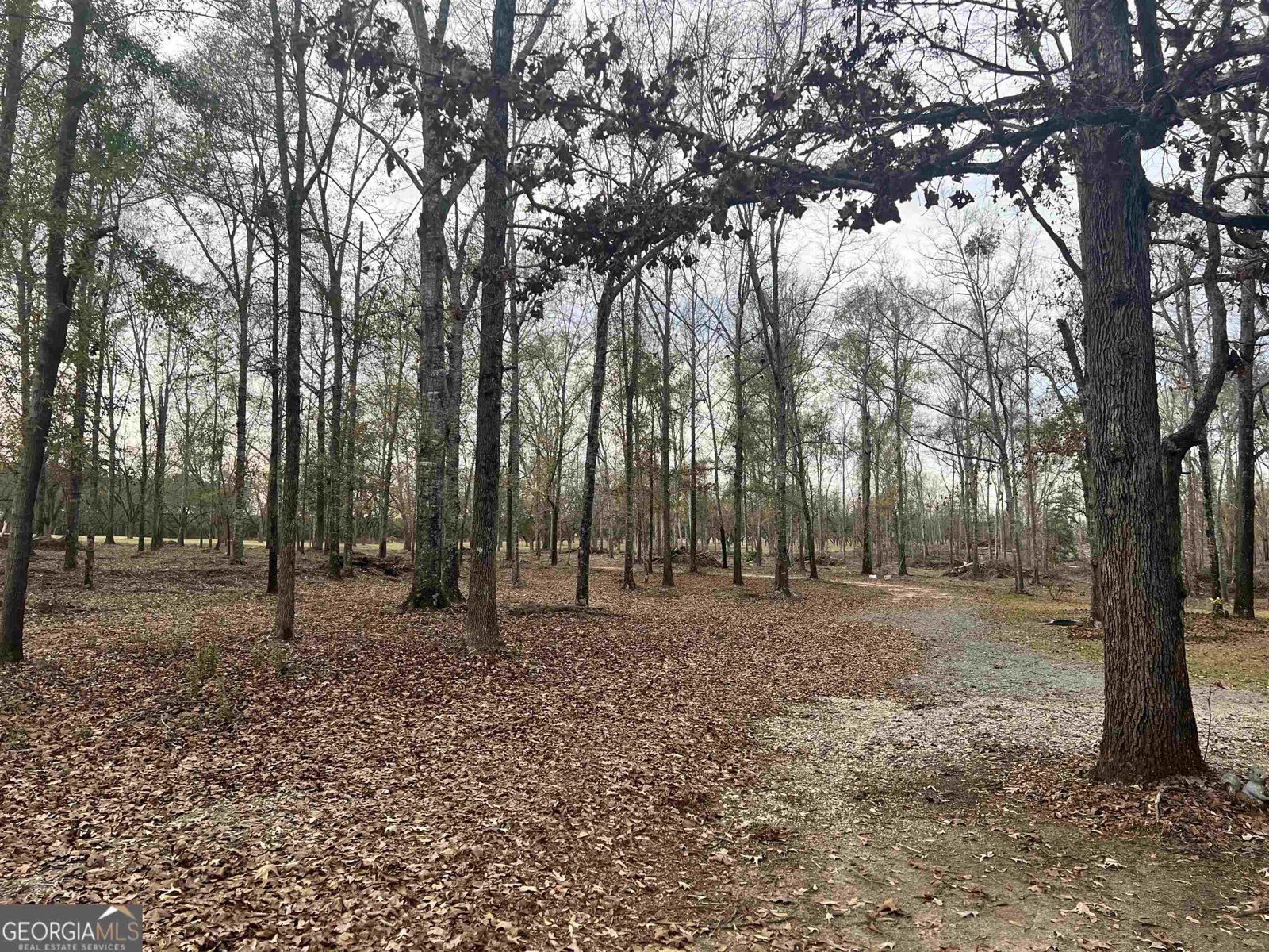 2382 Gallimore Mill Road Jeffersonville - 100