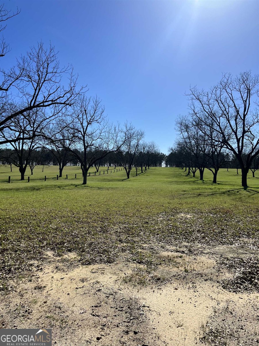 2382 Gallimore Mill Road Jeffersonville - 107